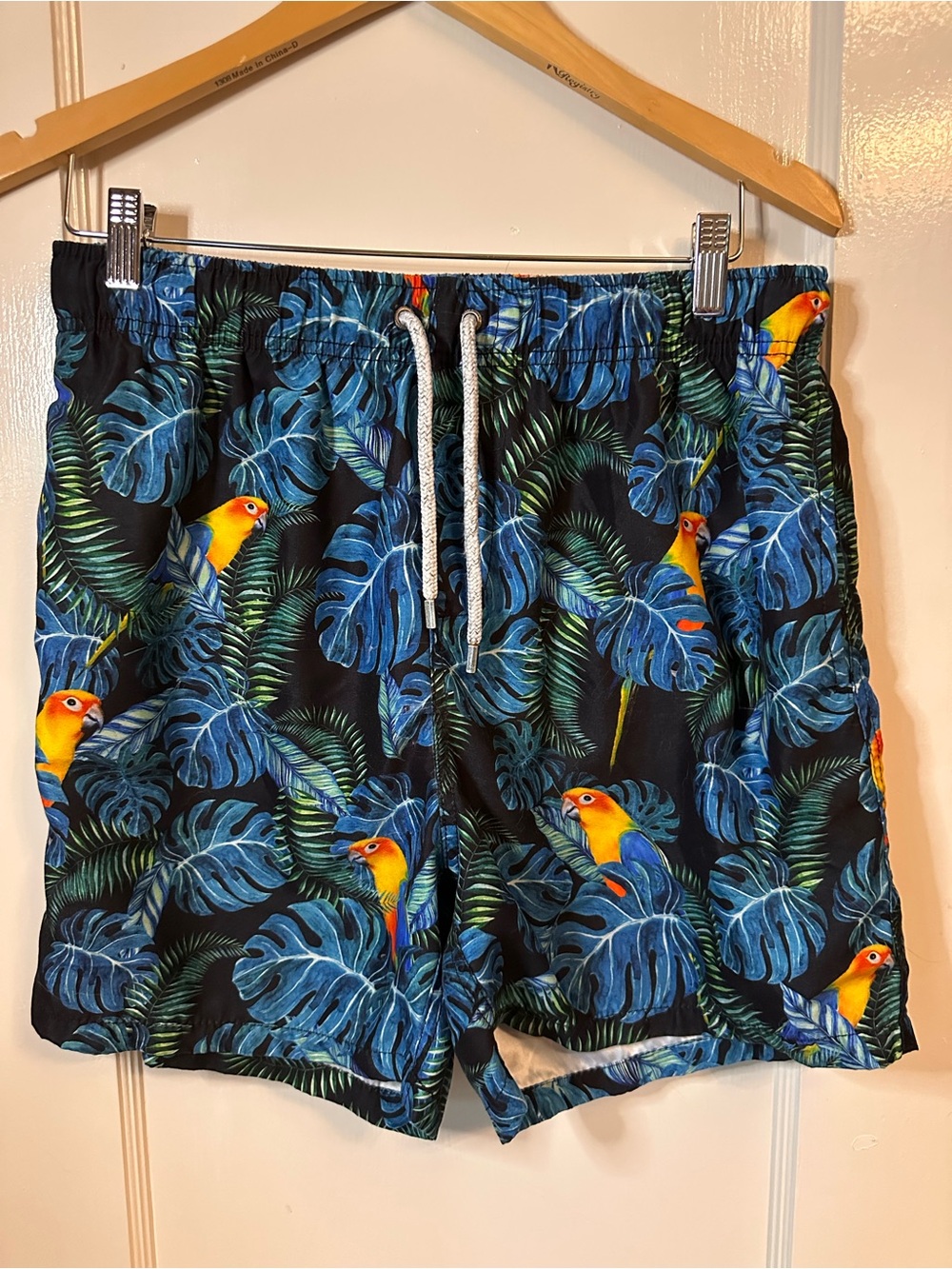 Men's Tropical Parrot Swim Trunks - Blue